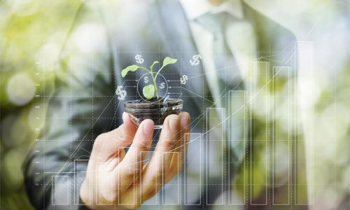 Fundos ESG – A Sustentabilidade como fator determinante na escolha dos investimentos